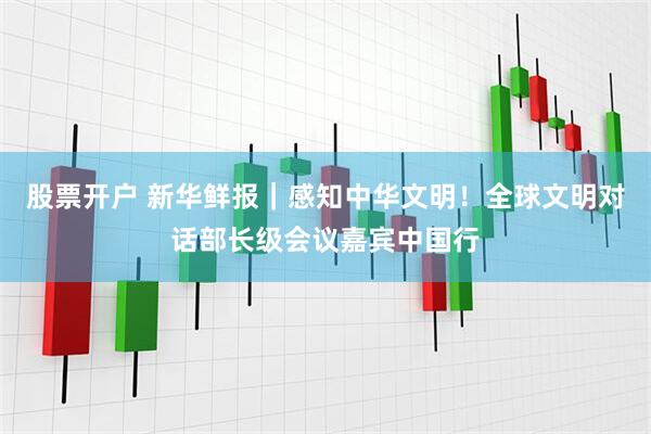 股票开户 新华鲜报｜感知中华文明！全球文明对话部长级会议嘉宾中国行